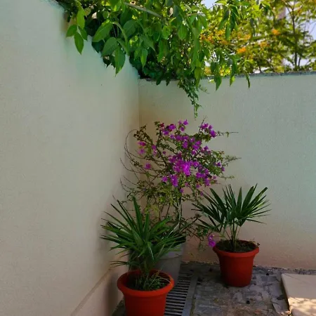 Lovely House With Swimming Pool Lägenhet *