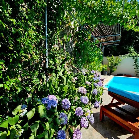Lovely House With Swimming Pool Apartmán