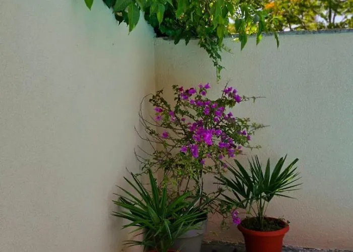 Lovely House With Swimming Pool Apartment *