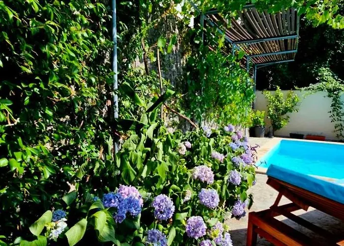 Lovely House With Swimming Pool Apartment